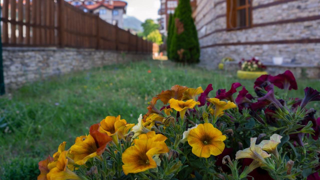 Two Bedroom Apartments In Murphys Lodge Bansko Exterior photo